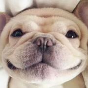 壮壮的壮的个人资料头像