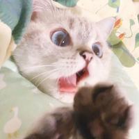 ℳ๓刘ꩵ⁵²⁰810头像