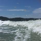 油车香还是电车强头像