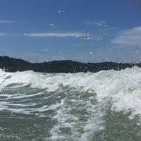 油车香还是电车强头像