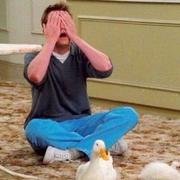 iceberg666的个人资料头像