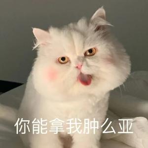 记忆重启yy头像