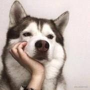 青灯与酒的个人资料头像