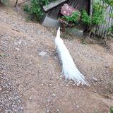 勇往直前不一样头像