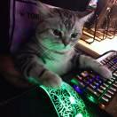 机器不学习的个人资料头像