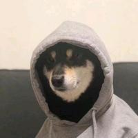 爱骑车的宇头像