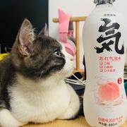 Minfee的个人资料头像