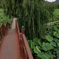 难忘的你4571头像