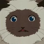 查无此鱼的个人资料头像