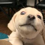 雨幕丅邂逅189467739头像