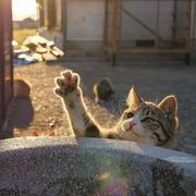 李时勇的个人资料头像