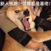 挚爱今生的你911头像