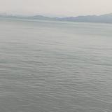 仁爱滴菠萝头像