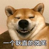 不斗行不行头像