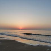 向阳1482456682178的个人资料头像