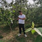 @阿龙只懂车头像