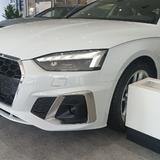 幽默荷叶NYo头像