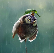 alpha0o0的个人资料头像