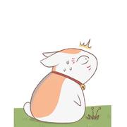 91的个人资料头像