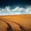 云飞扬君的个人资料头像