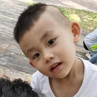 率真枫叶7V1头像