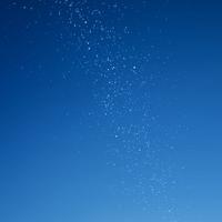 聪慧的尘心头像