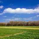 程建的个人资料头像