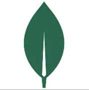 MongoDB数据平台的个人资料头像