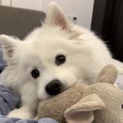 天琴的个人资料头像