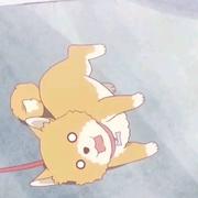 赵乐的个人资料头像