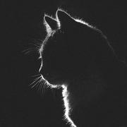 SuperYi156的个人资料头像