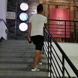 乐天派行走的小鸟头像