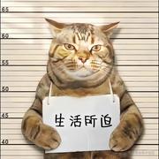 深海_的个人资料头像