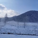 魏韬40头像