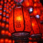 云飞扬NO001头像