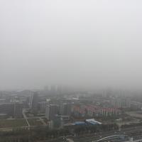 小灰灰啊校头像