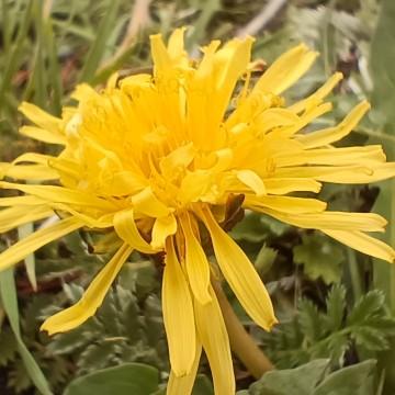 西安十三朝头像