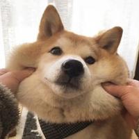 静守己心613头像