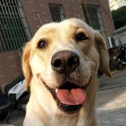 maybe393的个人资料头像