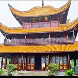 顺丰远走高飞头像