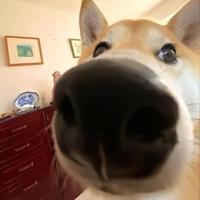 用户6588535405586头像