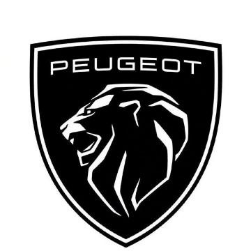 广西恒久标致4S头像