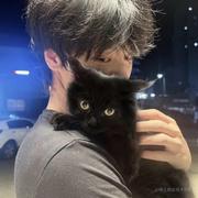 鸿蒙王大志的个人资料头像