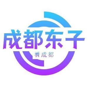 成都东子小号头像