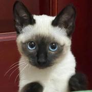 用户6210793994749的个人资料头像