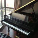 Ashleyyin的个人资料头像