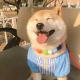 奋斗小青年的腹肌头像