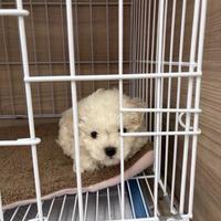 合适的话拜拜头像