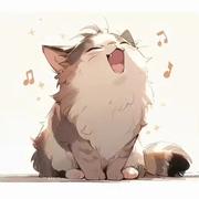 沉默509的个人资料头像