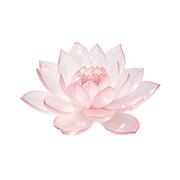 KCCC的个人资料头像